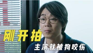 娱乐吃瓜君排行榜