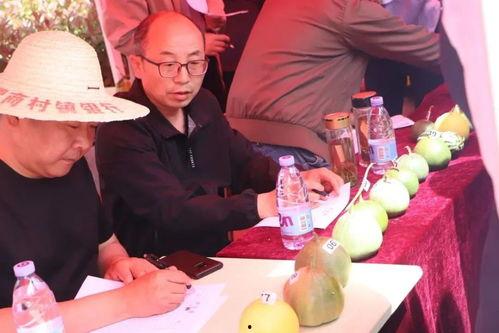 吃瓜群众的由来视频