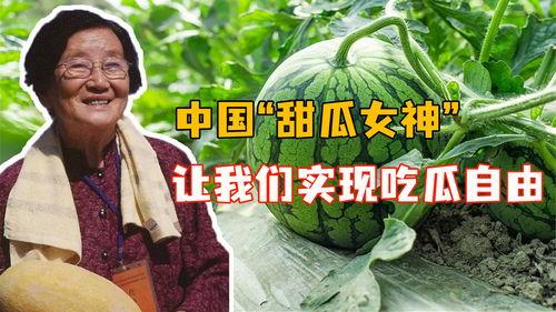 吃瓜视频最全观看